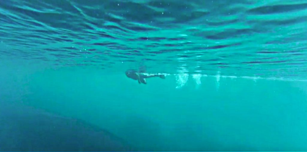 El secreto de Pepín GUÍA TURÍSTICA ONLINE